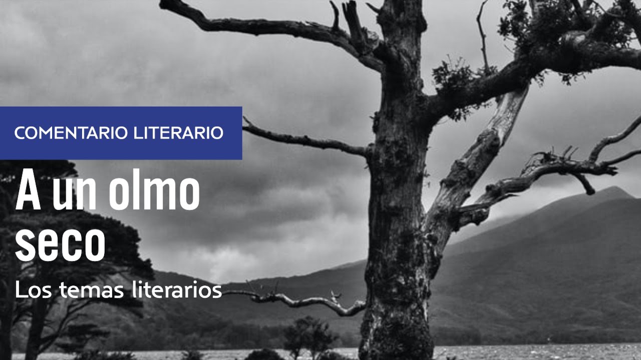 comentario a un olmo seco