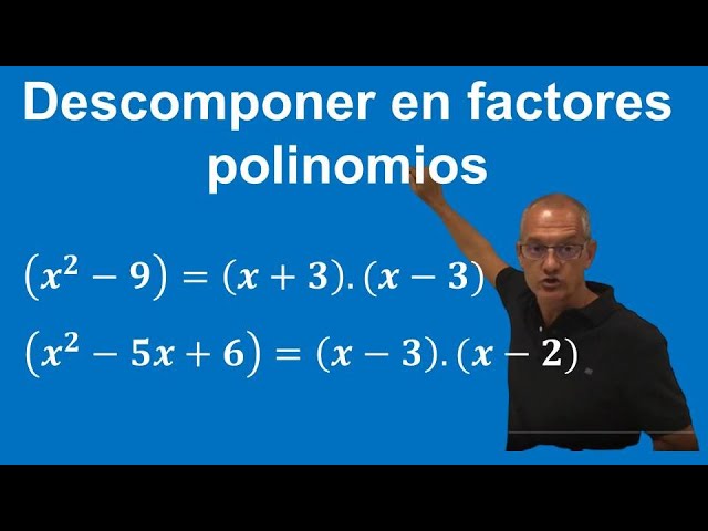 descomponer en factores los polinomios