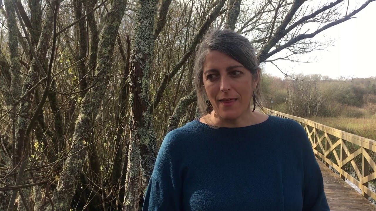 ejemplos de locus amoenus