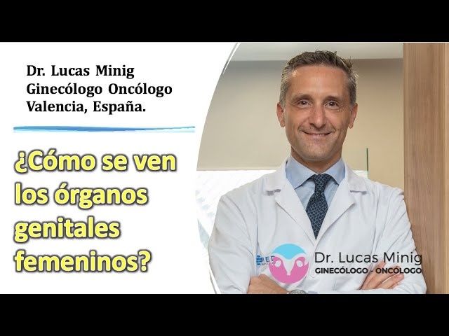 eufemismo órganos sexuales