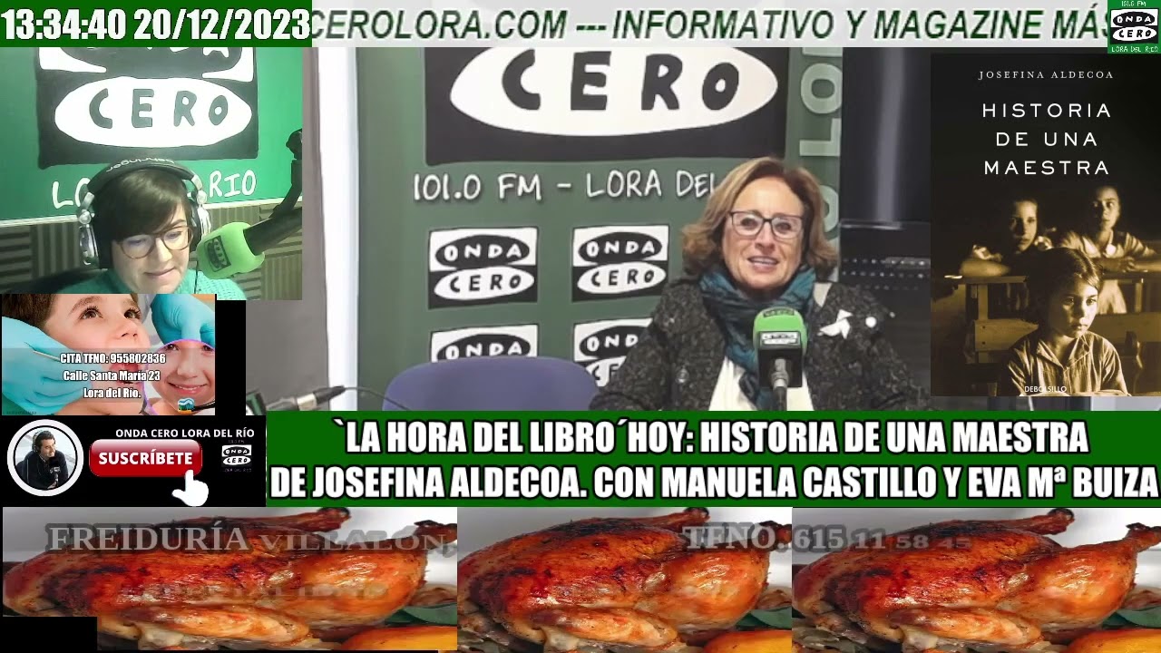 historia de una maestra resumen por capítulos