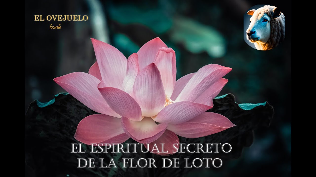 nenúfares significado espiritual