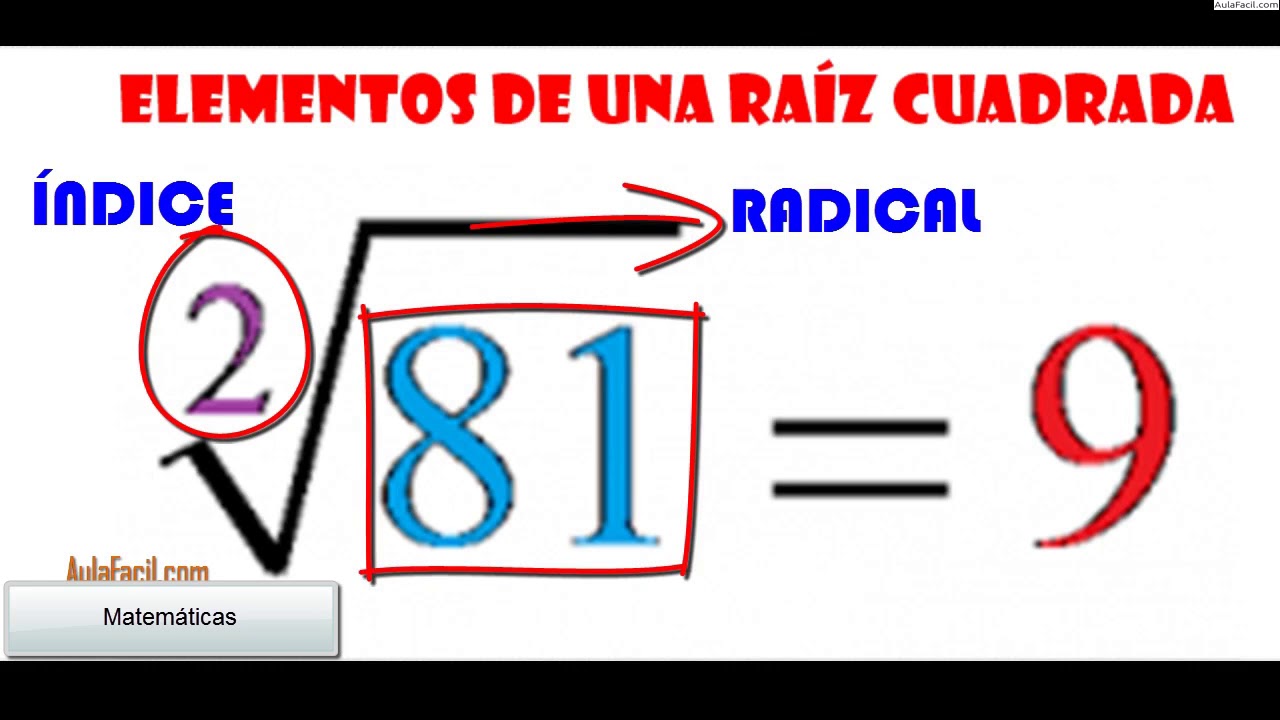 partes de una raíz matemáticas