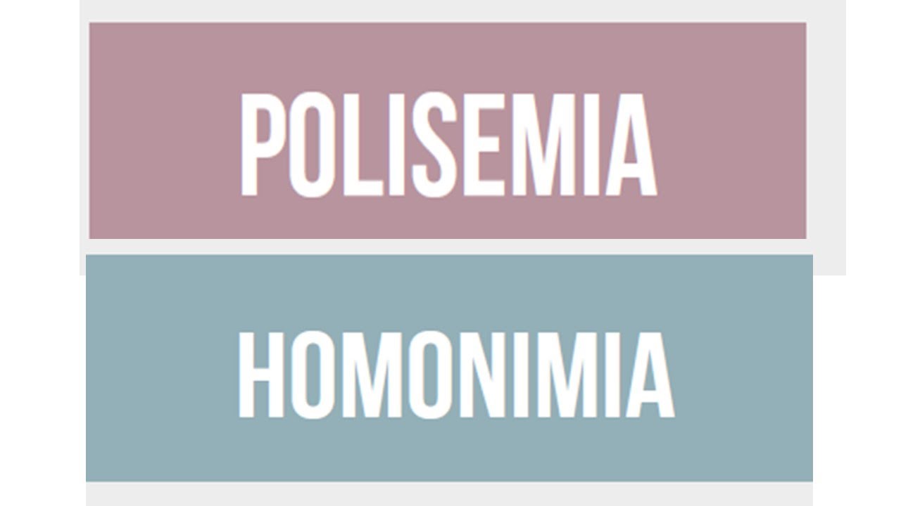 polisemia y homonimia ejercicios