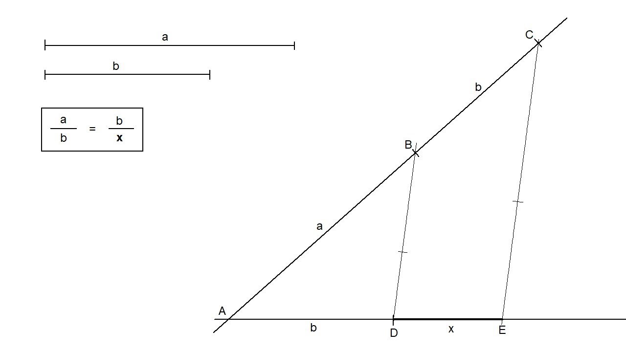 tercero proporcional