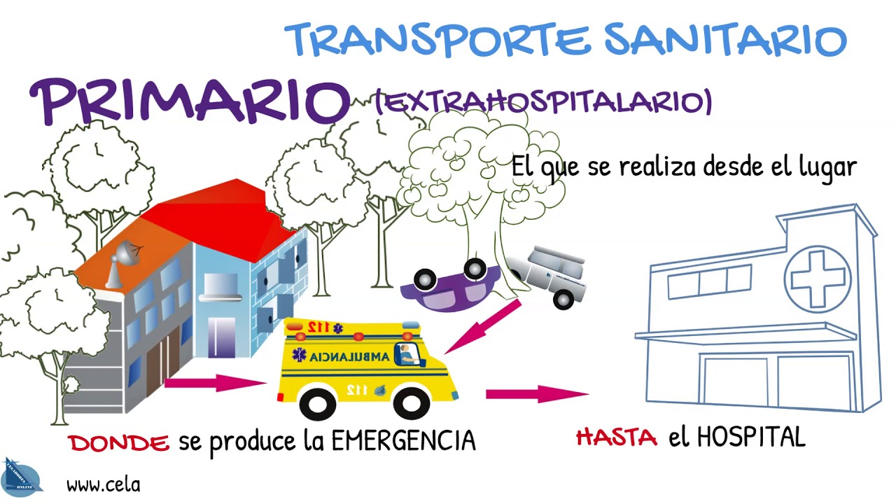 transporte primario secundario y terciario