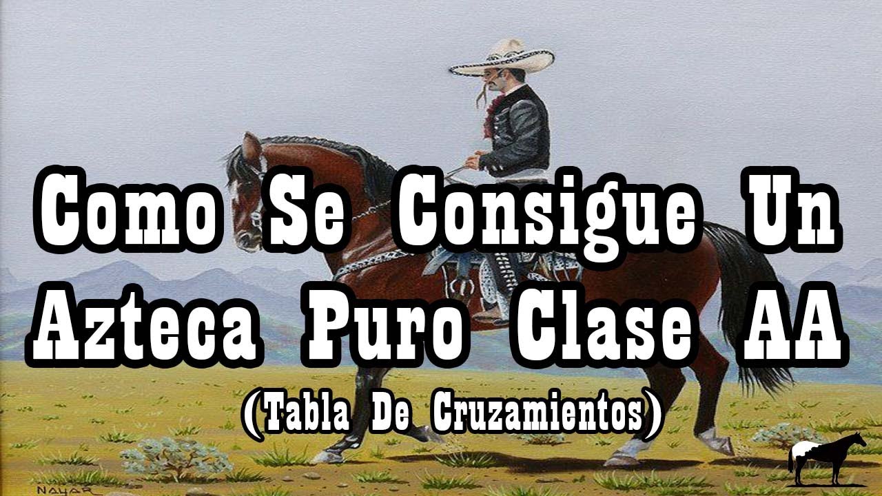 caballos aztecas