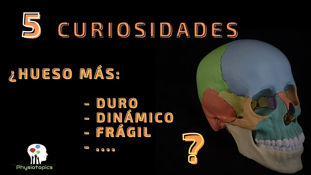 cual es el hueso mas duro del cuerpo humano
