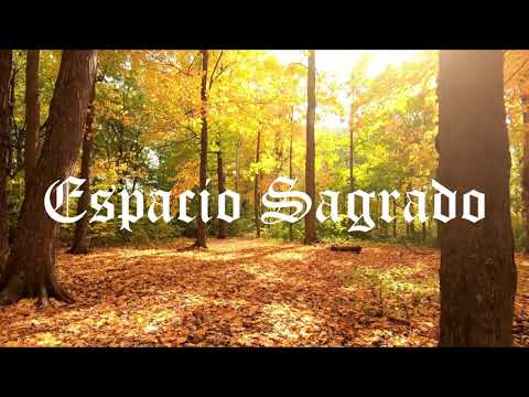 espacio sagrado tu oracion diaria
