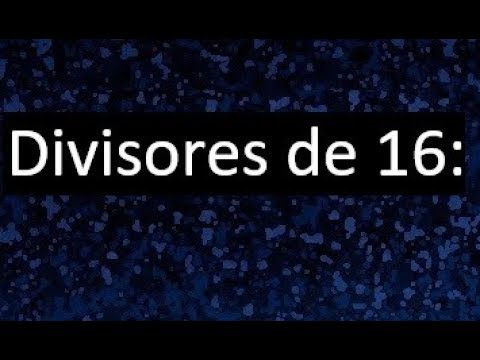 los divisores de 16
