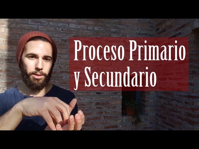 secundario y primario
