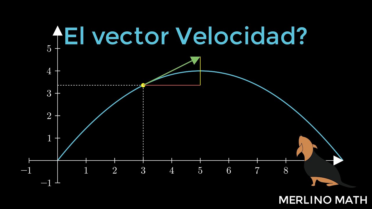 vectores velocidad