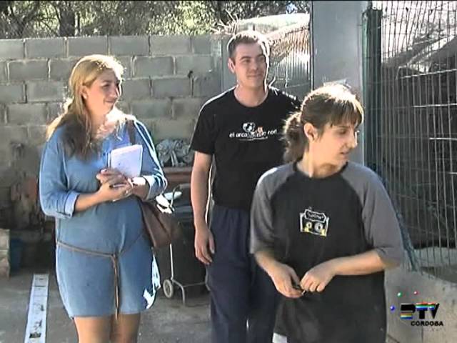arca de noe protectora