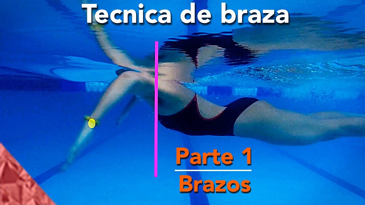 brazada de braza