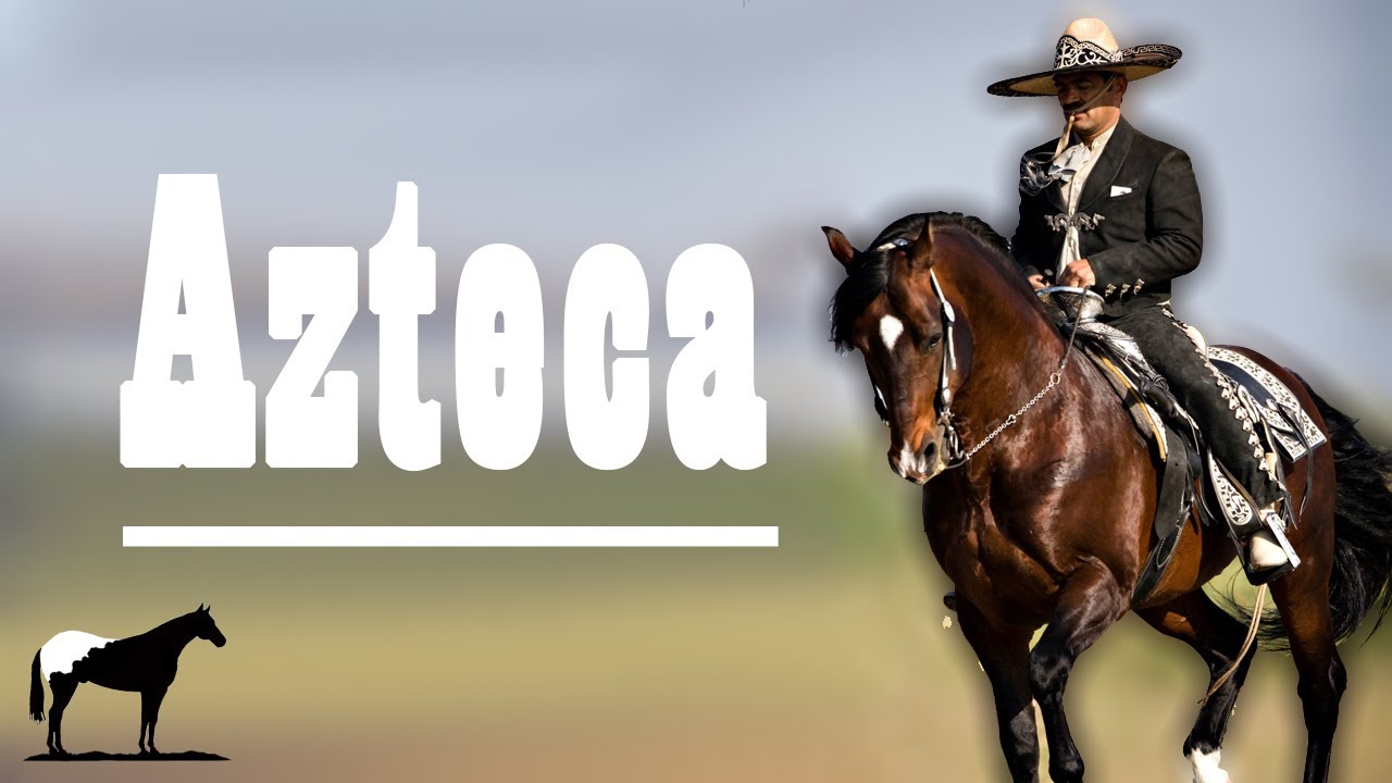 caballos azteca