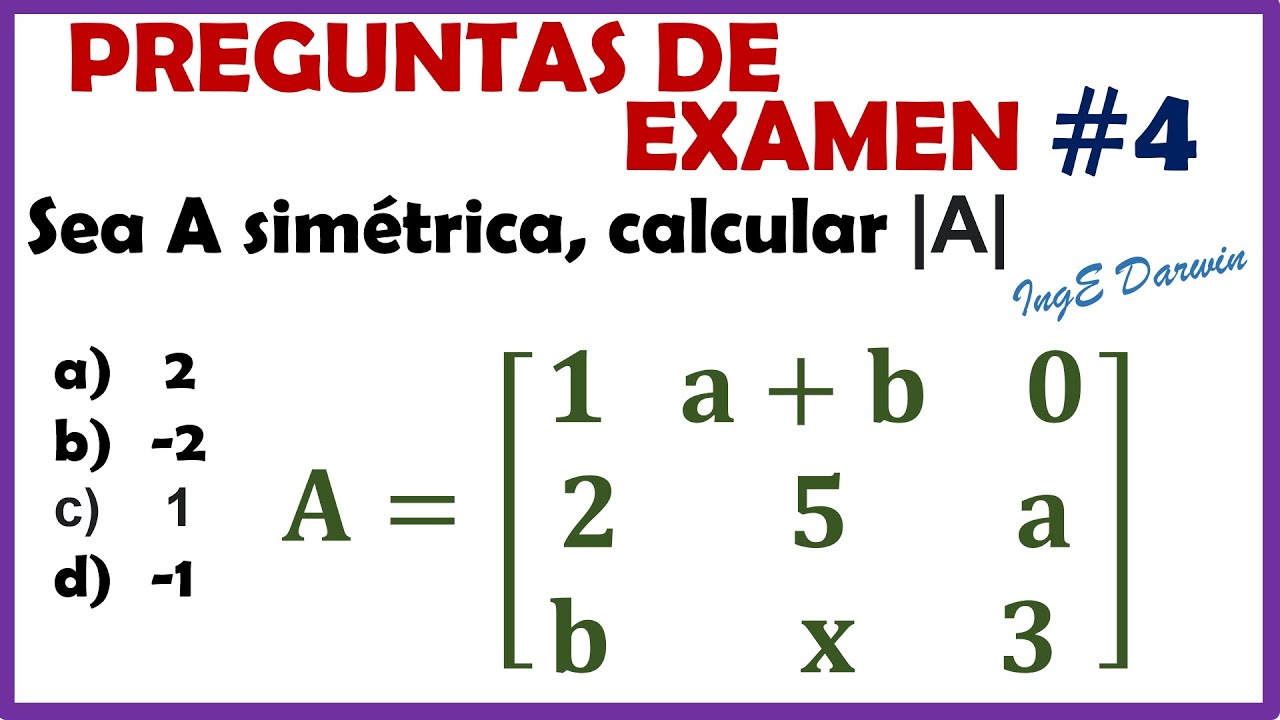 ejercicios determinantes matrices