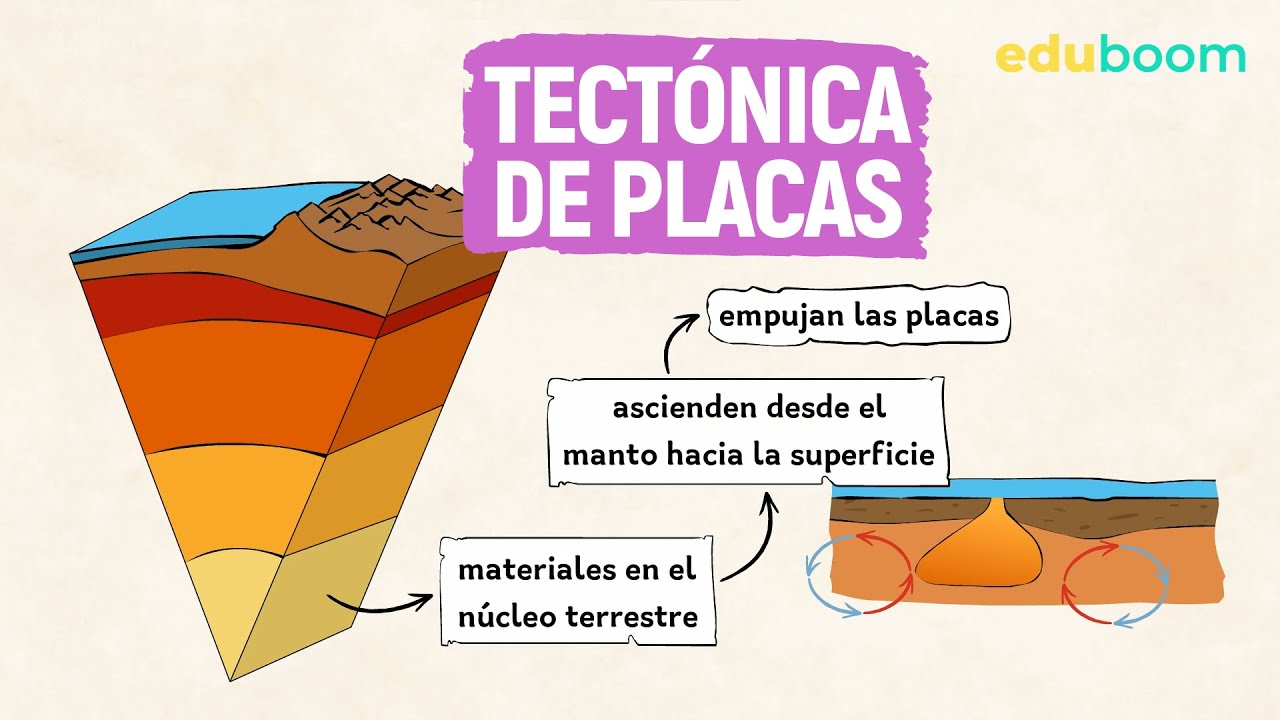 ejercicios resueltos tectónica de placas 4 eso