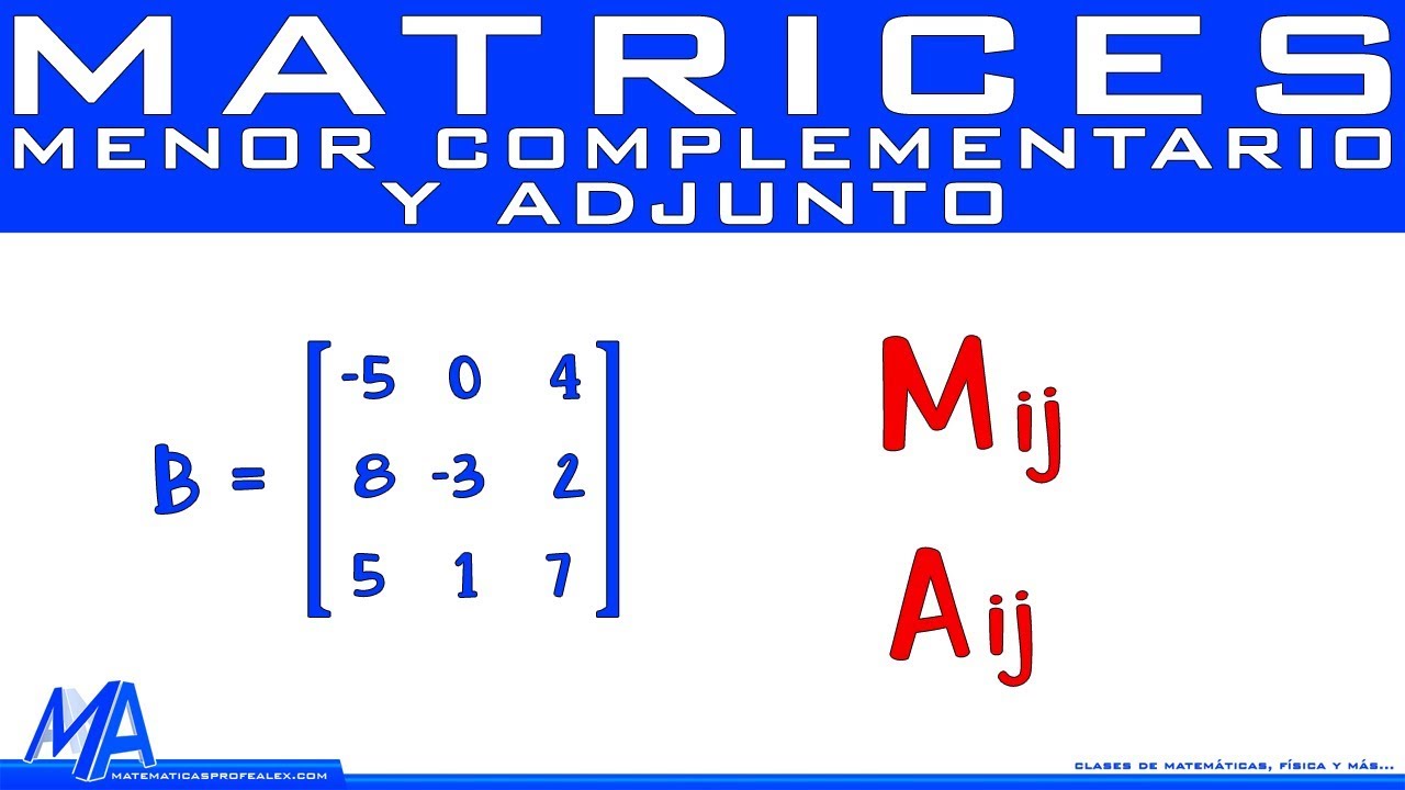 menor complementario de una matriz