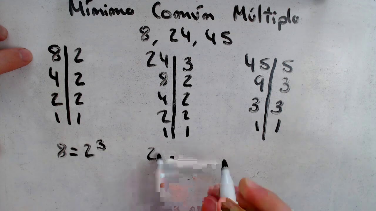 mínimo común múltiplo de 8