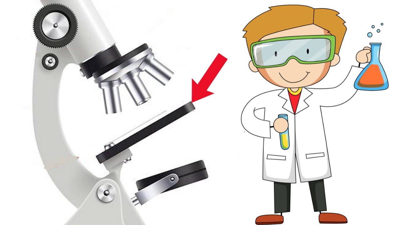 funciones del microscopio