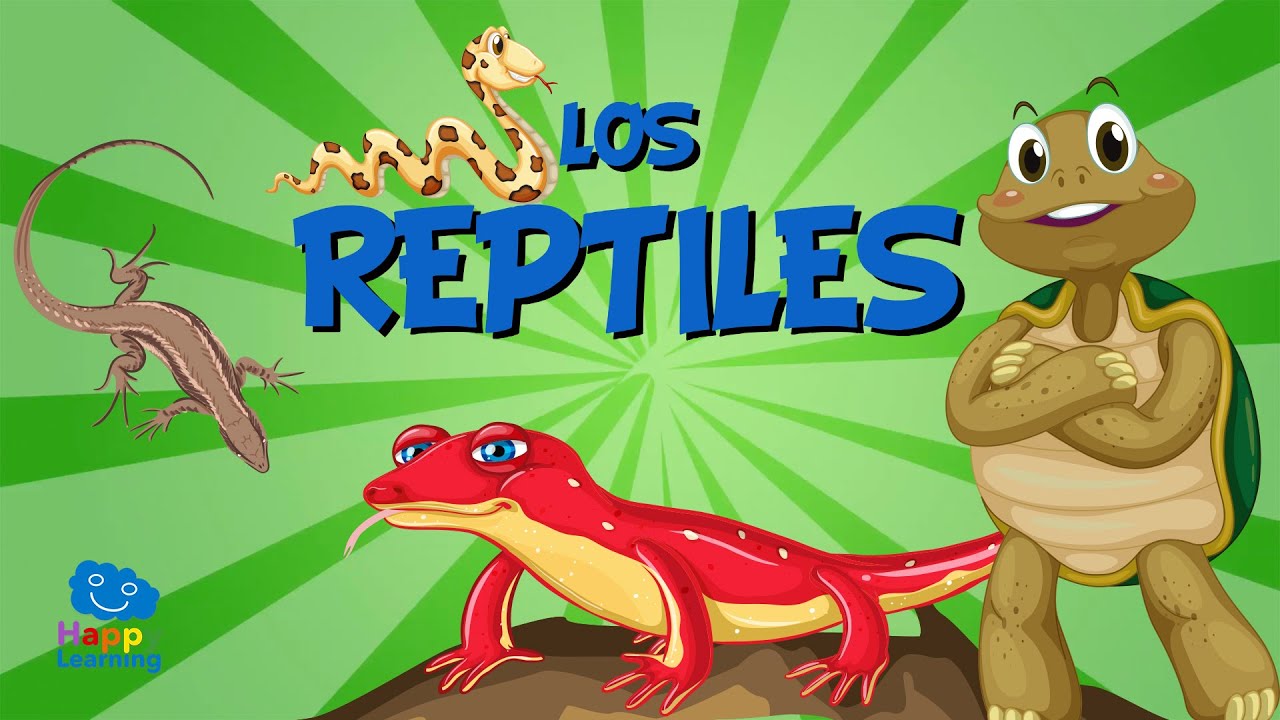 reptiles son vertebrados o invertebrados