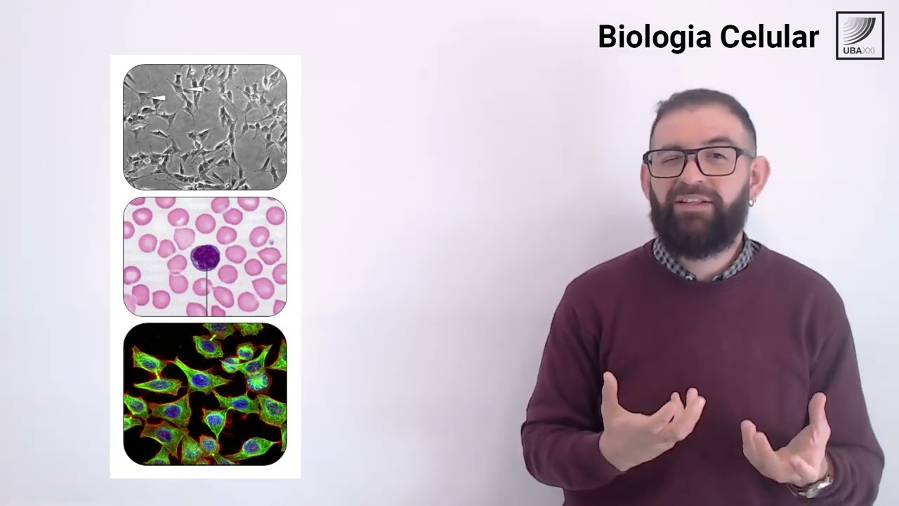 tipos de microscopios