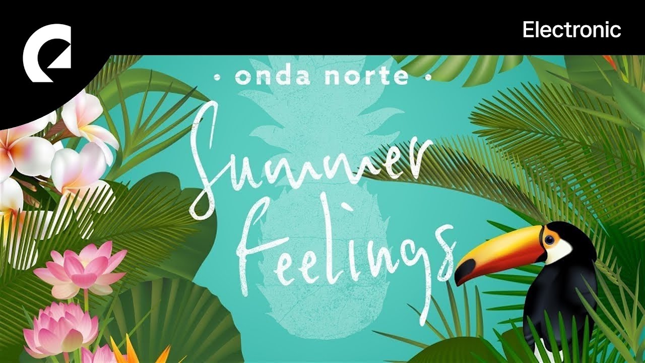 vega norte